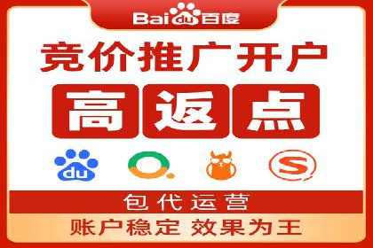 百度SEM竞价推广成功案例：某电商平台的营销奇迹